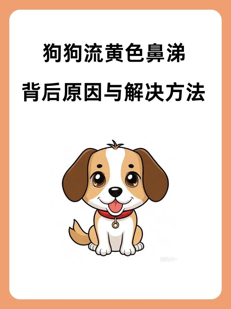 狗狗鼻子不通气噗噗的吃什么药