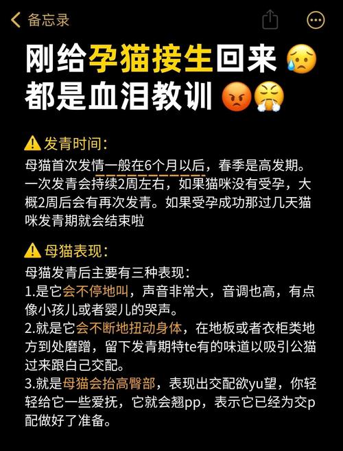 猫咪第一次怀孕需要注意什么