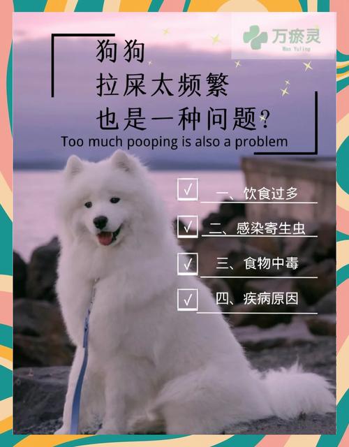 狗在笼子里拉屎怎么办