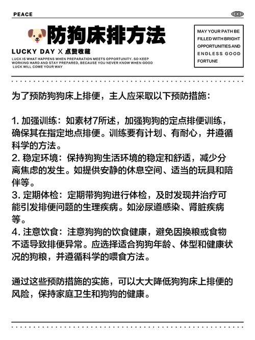 幼犬吃完就拉屎,原因及处理方法