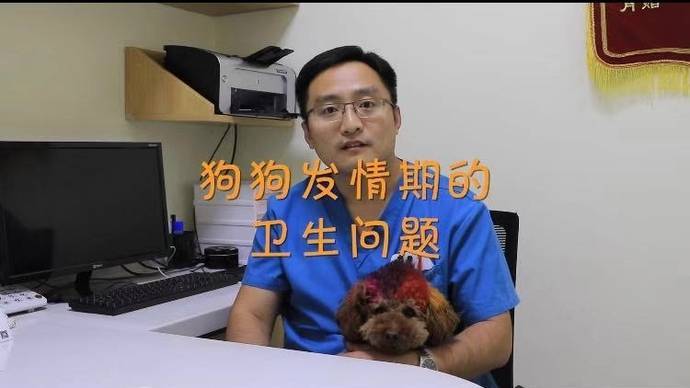 狗狗是否在发情期间不可以吃驱虫药的