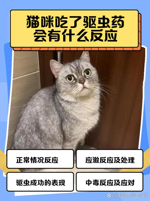 猫吃了驱虫药有什么反应