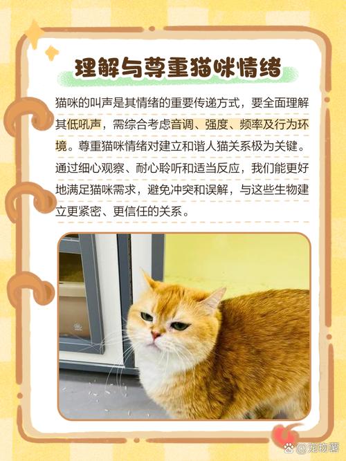 猫咪发出低吼什么意思?是否他们生气了?