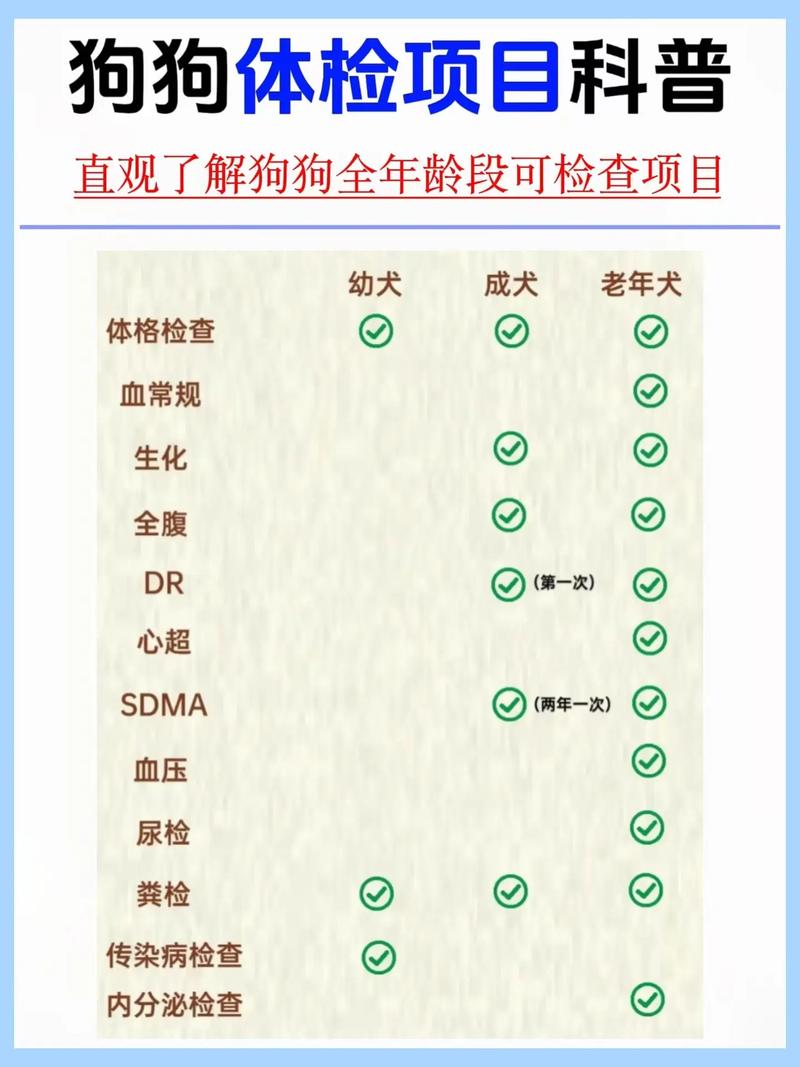 狗皮肤病治疗方法