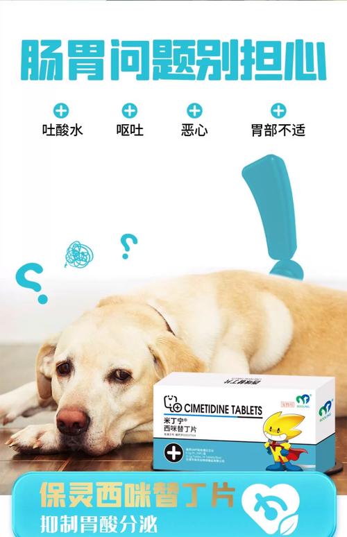 狗狗肠炎吃什么药?