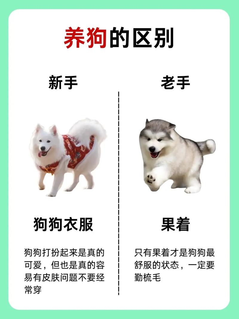 狗狗穿衣服的好处与坏处