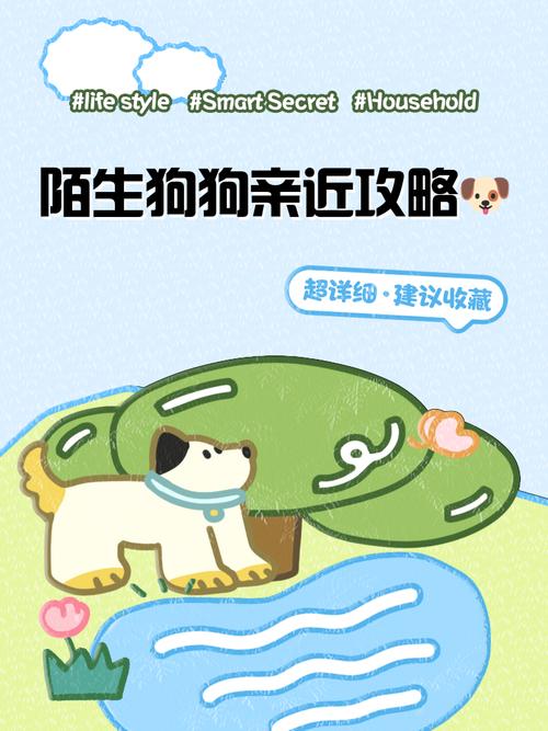 和陌生狗狗做朋友:你知道如何让狗狗喜欢你吗