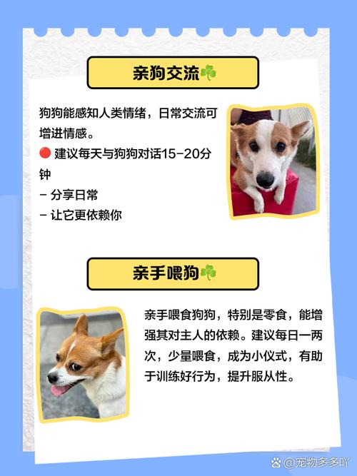 怎么让小狗喜欢你