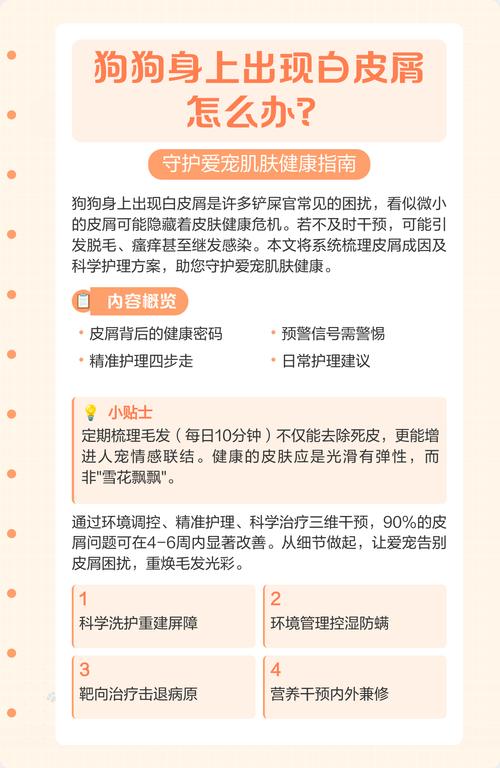 小鹿犬身上有皮屑怎么办