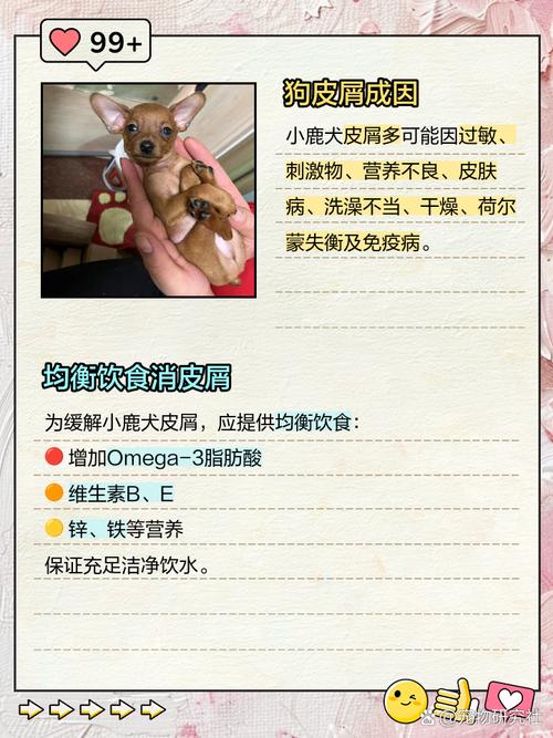 狗有皮屑怎么办