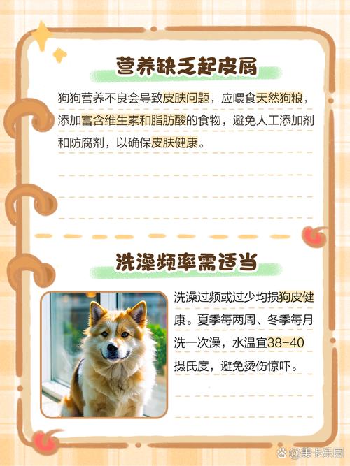 狗狗洗完澡起皮屑怎么回事