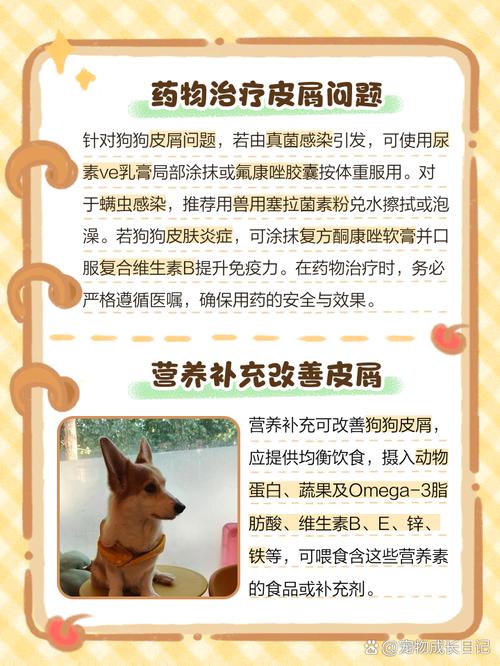 如何处理狗狗身上的皮屑?