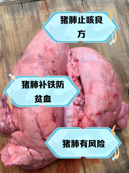 狗狗能吃猪肺吗