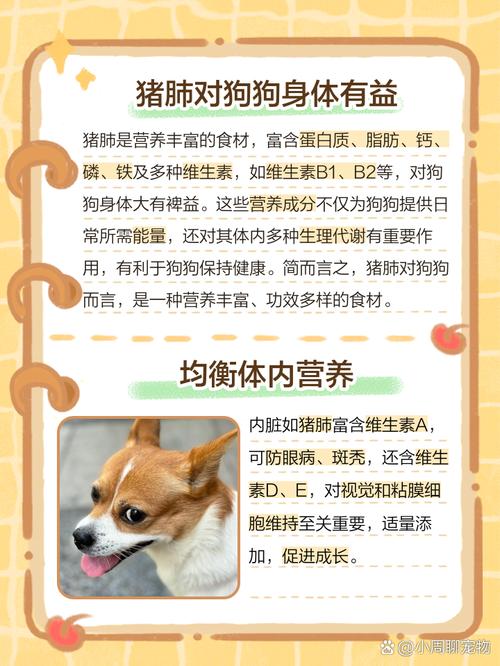 狗狗吃猪肺好不好