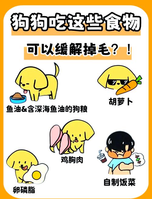 狗狗吃什么毛发好