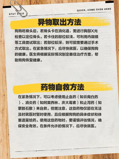 狗狗吃了骨头拉血吃什么药