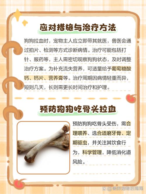 狗狗吃骨头拉血怎么办