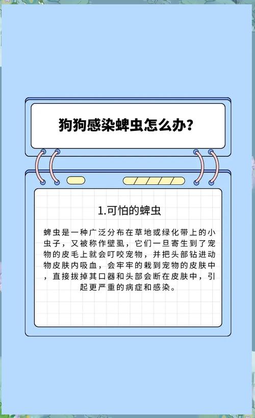 在小狗身上发现白色米粒大小的虫子,有的稍小,是什么东西?怎么办?_百度...