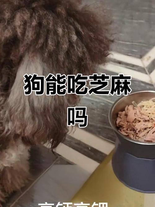 狗狗吃芝麻酱会死吗