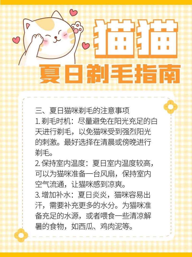 什么气温给猫咪剃毛比较合适?(小猫剃毛以后肚子凉是怎么回事)