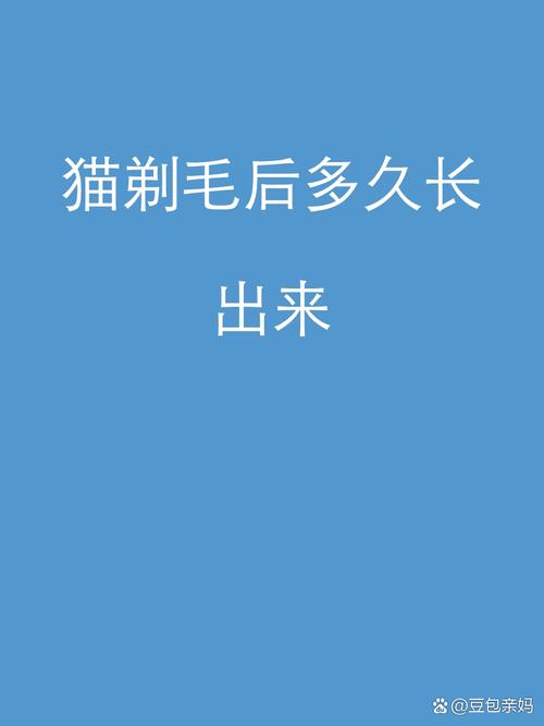 猫咪剃毛后如何养护?