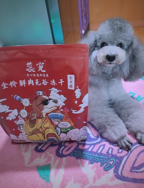 泰迪吃什么牌子的狗粮好