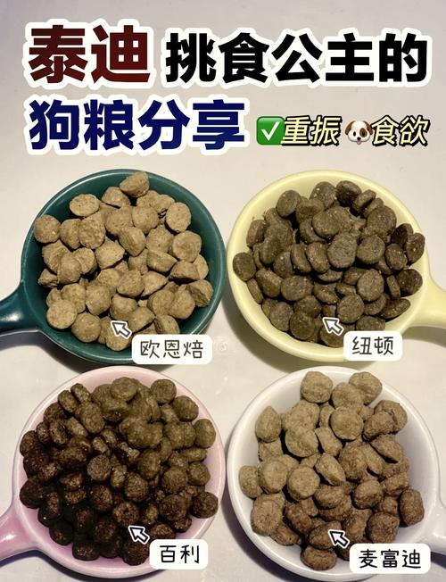 老年泰迪吃什么狗粮好