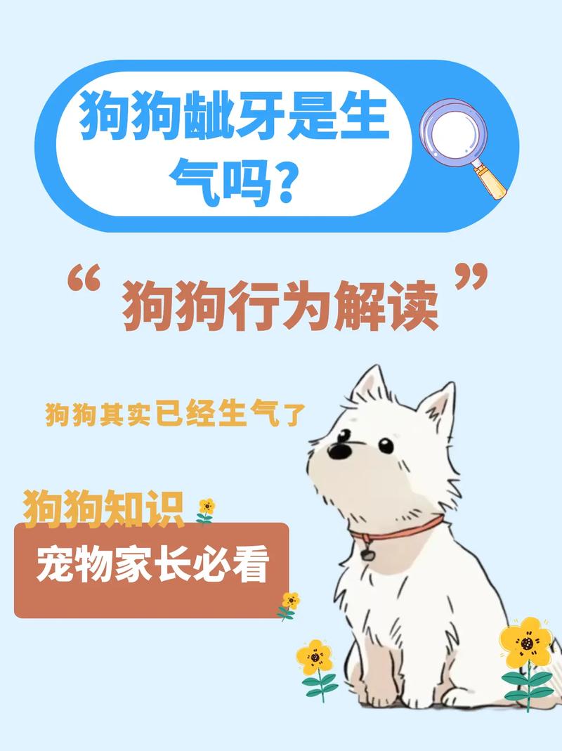 为什么亲狗狗它会呲牙