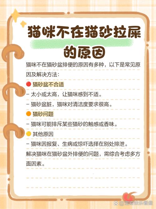 猫咪为什么会在猫砂排便