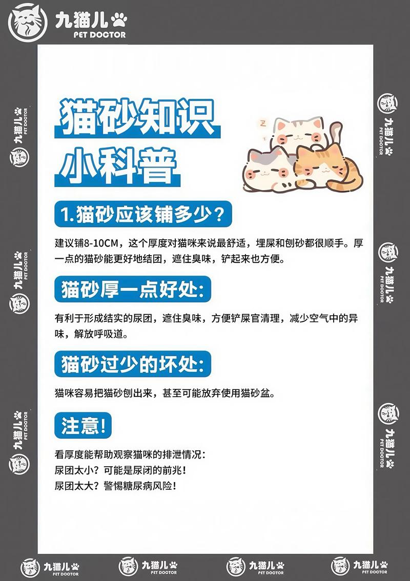 为什么猫要用猫砂