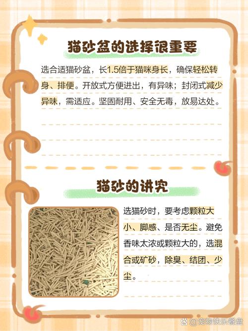 养猫必须用猫砂吗