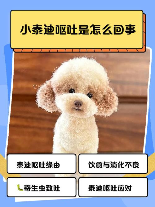 泰迪狗狗呕吐怎么办