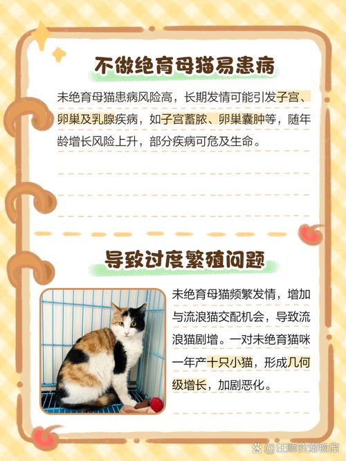 母猫一辈子不做绝育可以吗