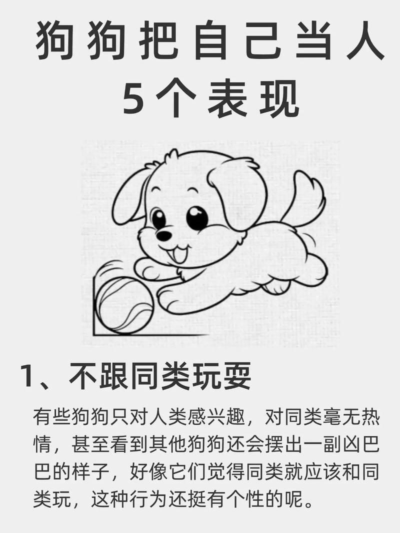 如何看出狗把谁当主人