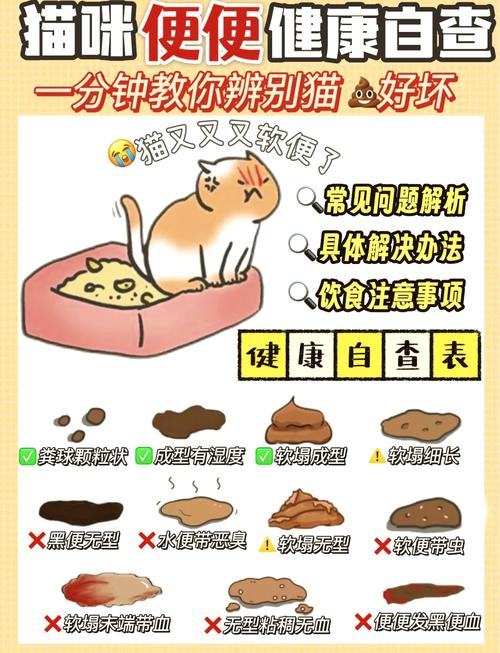 猫咪几天拉一次屎正常?