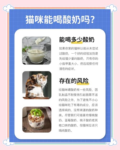 猫咪是可以喝酸奶的吗