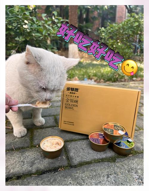 猫咪多久吃一次罐头
