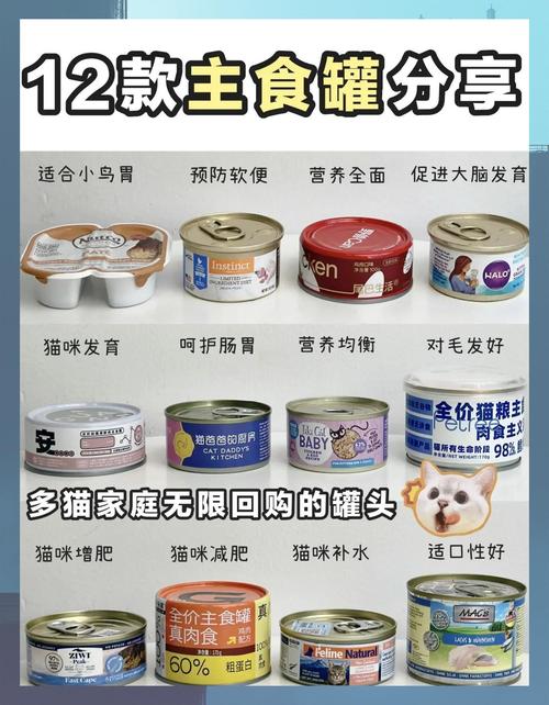 猫主食罐头每天吃多少