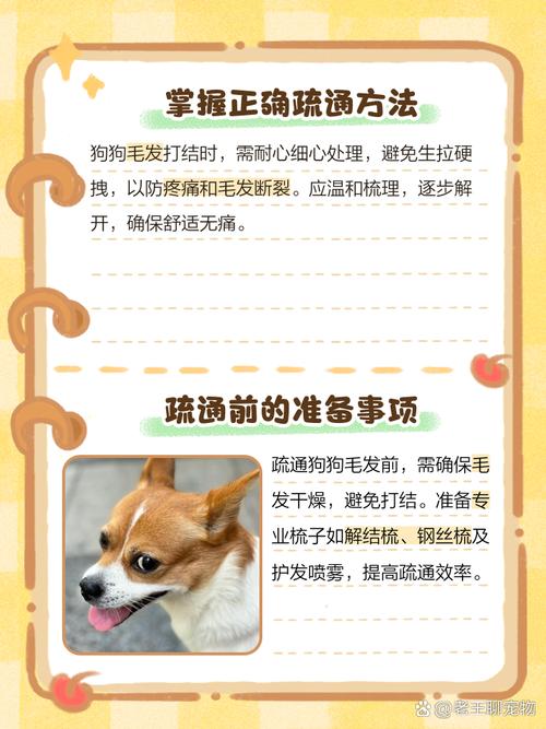 发现狗狗的毛发打结了怎么办?