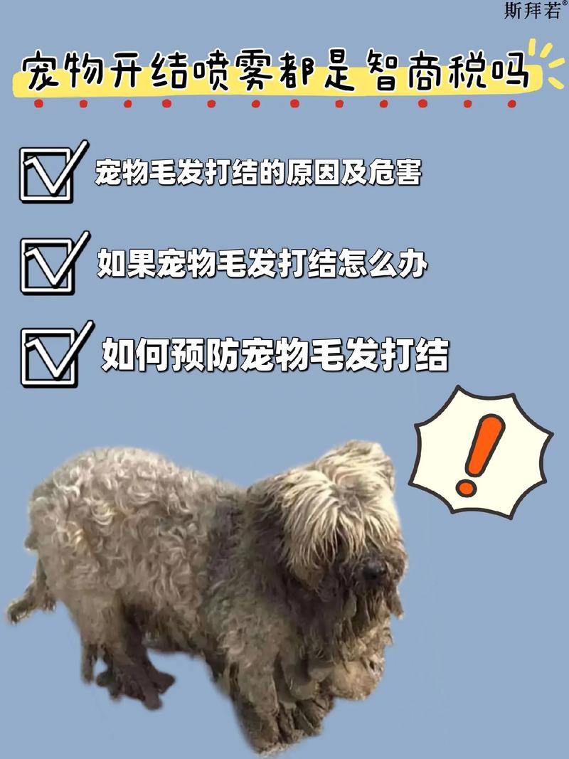 狗狗毛打结怎么办?