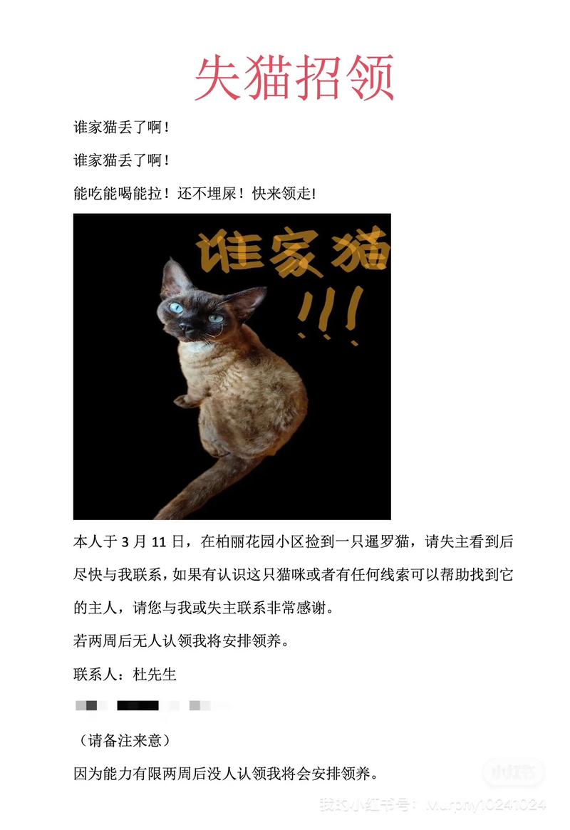 猫和主人分开久了还认识主人吗