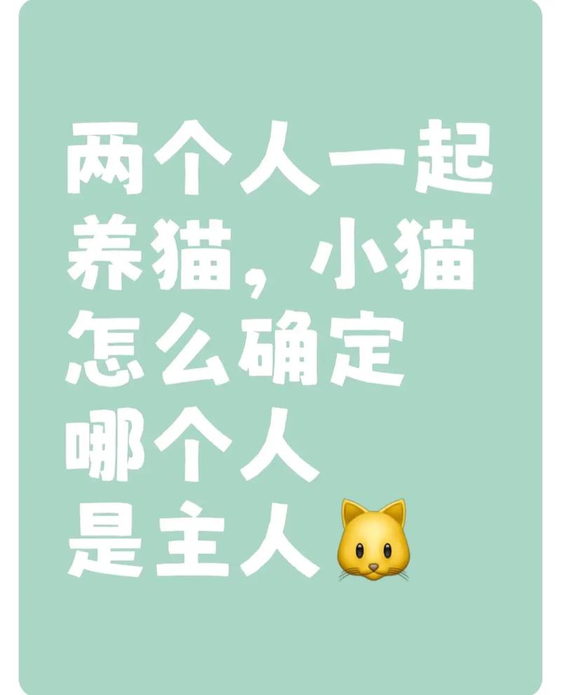两个人一起养猫认主人吗