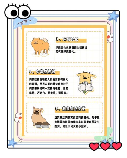 狗狗为什么会半夜拉屎