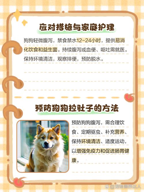 狗狗为什么总是半夜拉屎