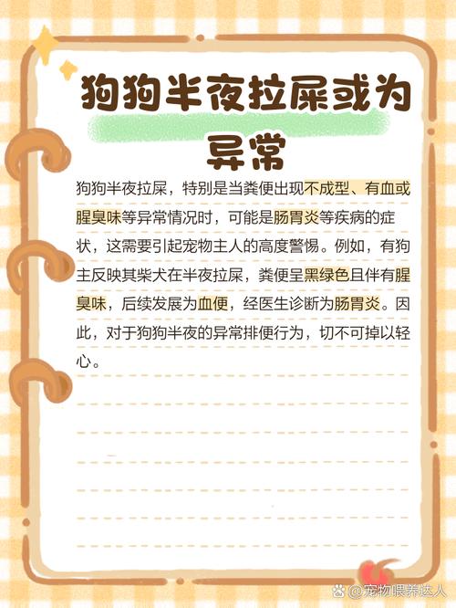 狗狗为什么半夜拉屎