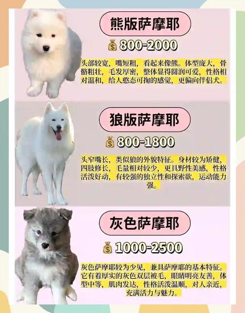 萨摩耶犬多少钱一只?