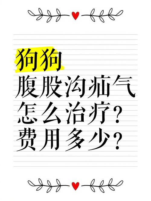 狗狗肠子掉疝气里边了大概开刀多少钱