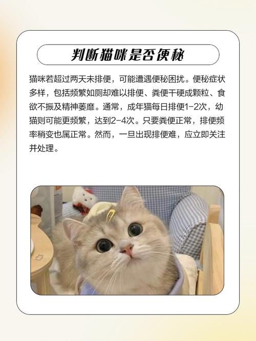 猫只吃不拉屎怎么办