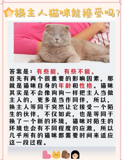 猫咪换主人会难过吗