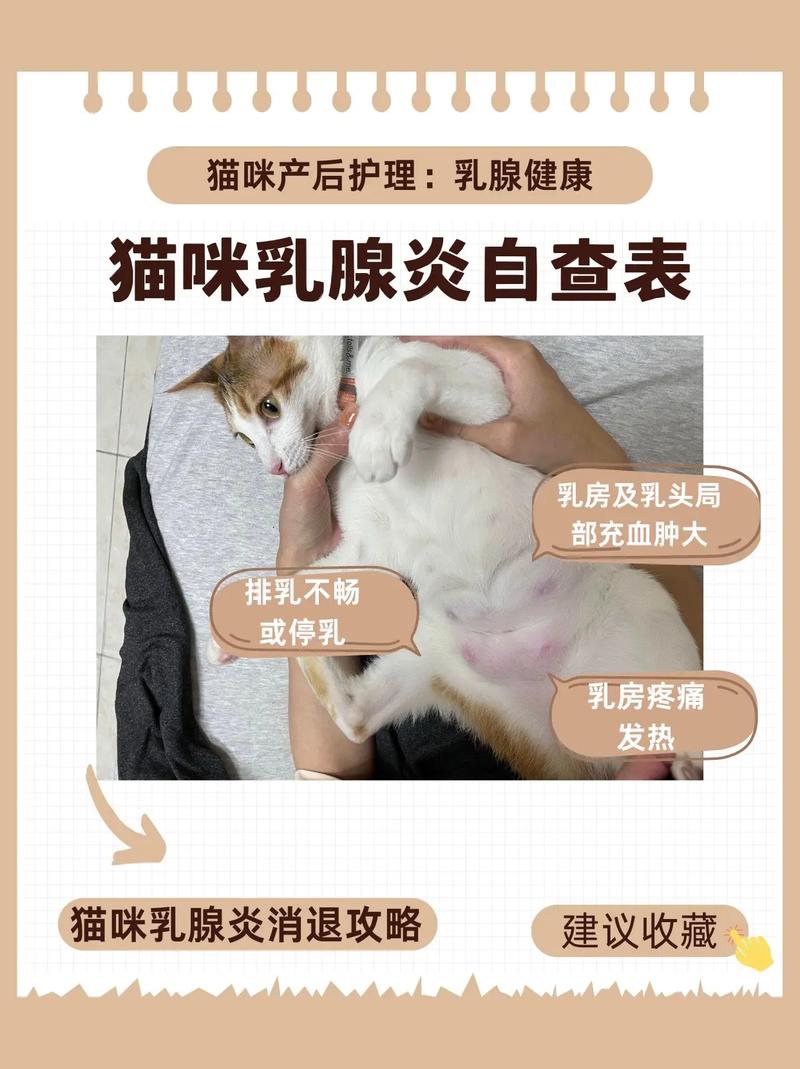猫奶涨了硬块自己会消吗?